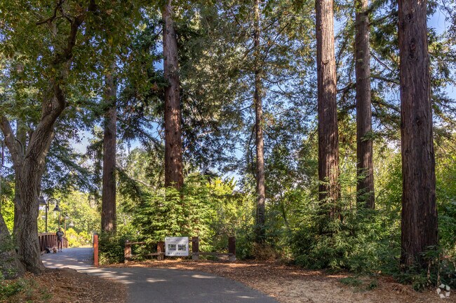 El Palo Alto Park in Downtown North offers a scenic walking path surrounded by redwood trees.