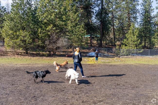 Residents of Thorpe Westwood often take their dogs to the park.