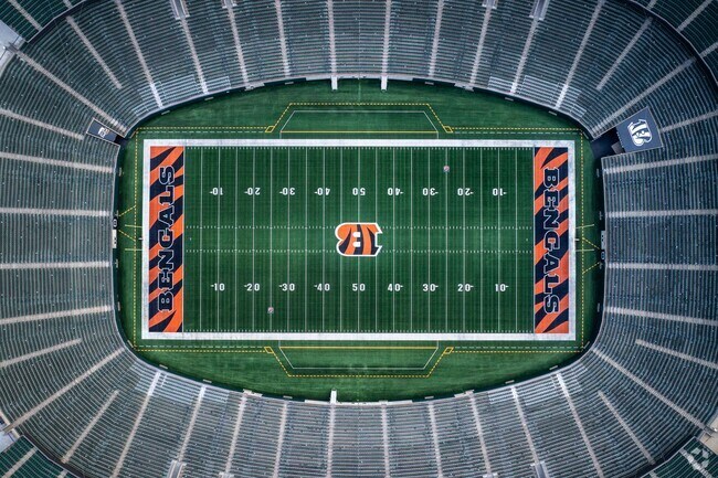 Springhill residents can take a short drive to watch the Bengals play.