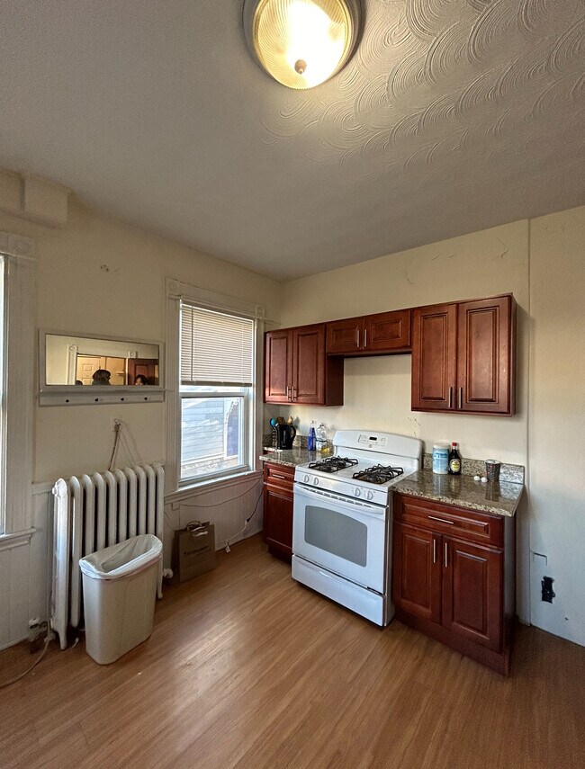 17 Hillside St unit 17 Hillside Street, Roxbury Crossing, MA 02120 - photo 3