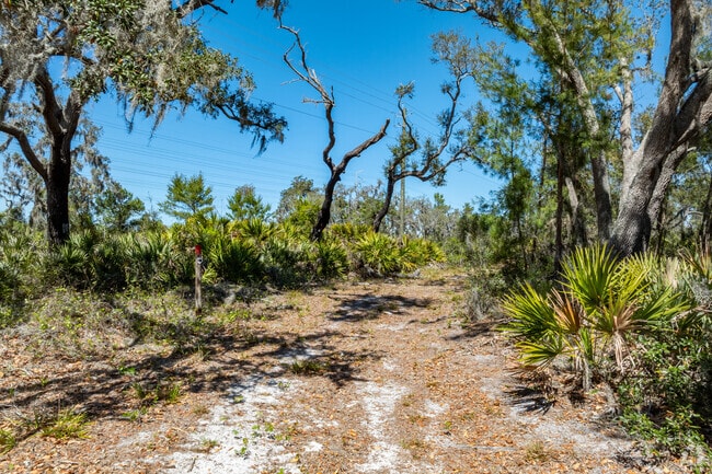 Nature lovers rejoice at Balm Boyette Scrub Preserve in Fishhawk.