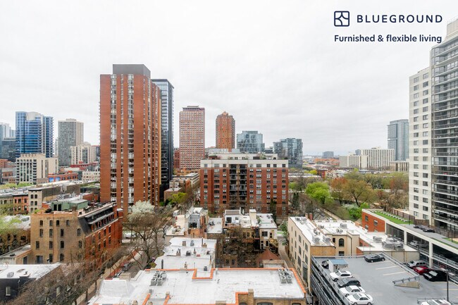 8 W Chestnut St unit FL13-ID1227, Chicago, IL 60610 - photo 7