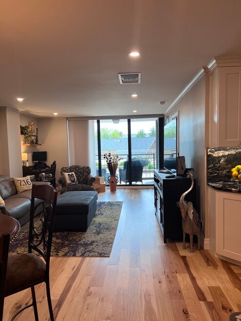 200 Lakefront Blvd unit 205, Buffalo, NY 14202 - photo 1