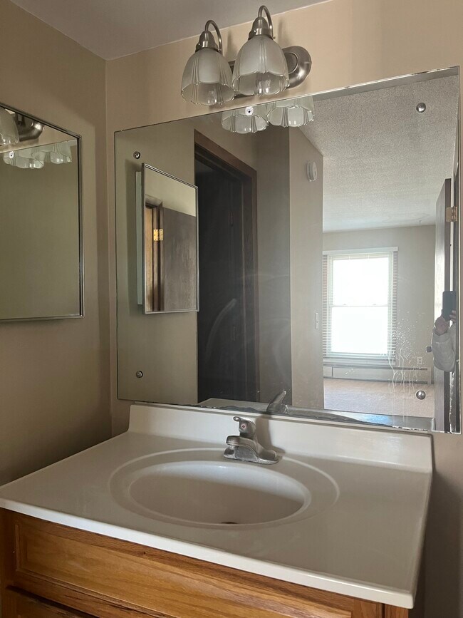 709 11th Ave S unit 6, Hopkins, MN 55343 - photo 6