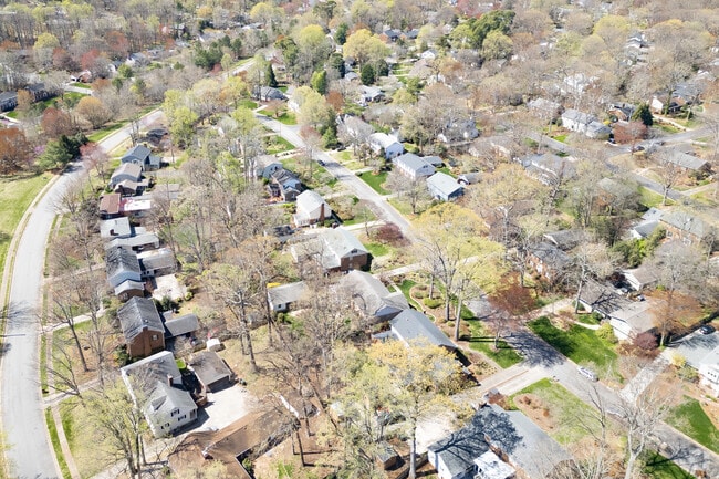 Hamilton Forest's allure from a bird's-eye view.