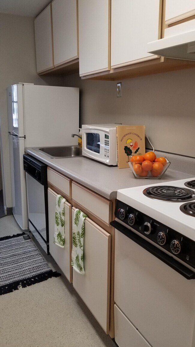 Collegetown Plaza/Collegetown Center, Ithaca, NY 14850 - photo 6