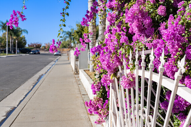 Bright colored flowers highlight this decorative white iron fence in West Delano.