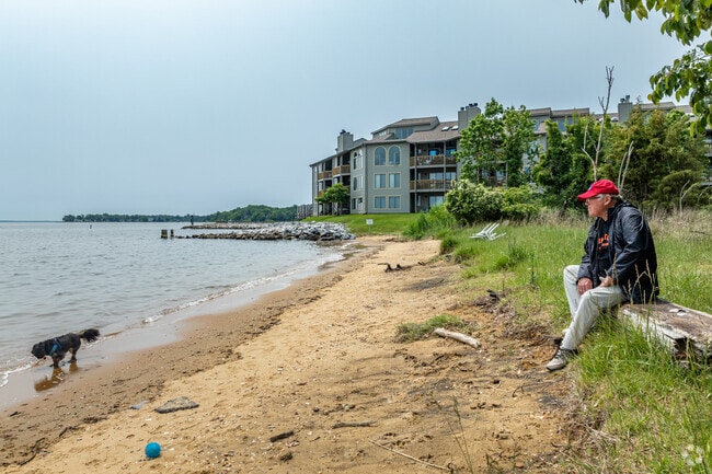 Take time to stop and enjoy the day in Victor Haven.