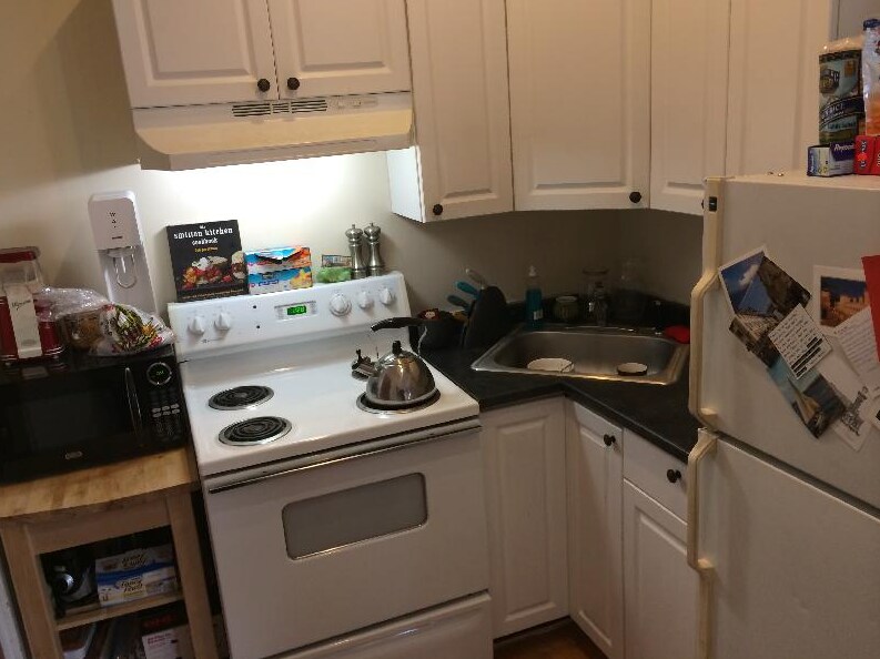 1451 Tremont St unit 3F, Roxbury Crossing, MA 02120 - photo 1