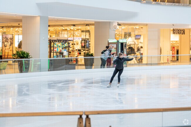 Enjoy iceskating in the middle of Lloyd Center shopping mall.