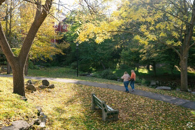 Glen Falls Park in Williamsville offers amazing trails to go for a fall walk.