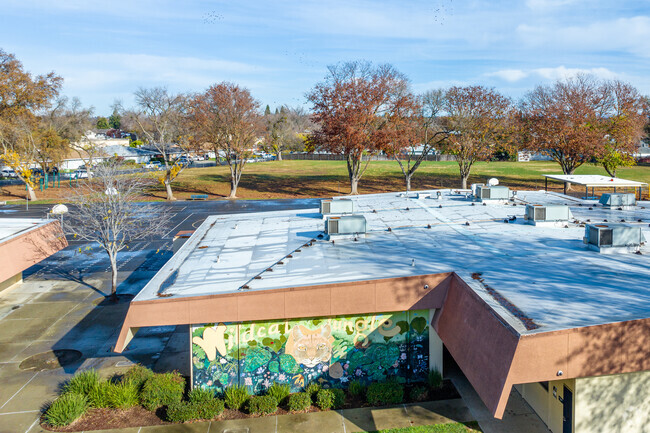 View the murals at Williamson Elementary School.