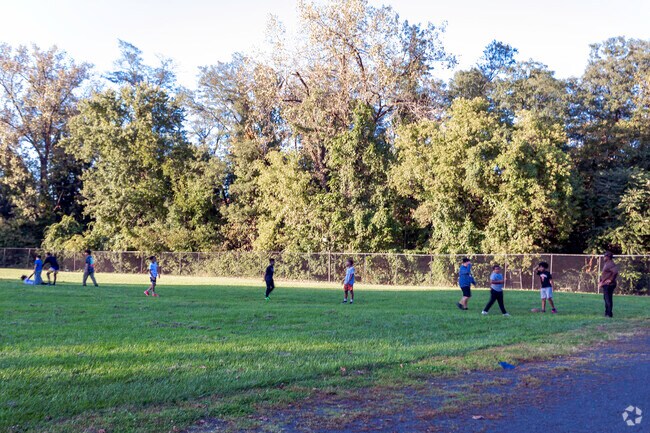 It's a beautiful day to play at Yosemite Park near Hartsdale.