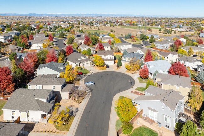 Parker neighborhood's are tree lined and filled with cul-de-sacs.