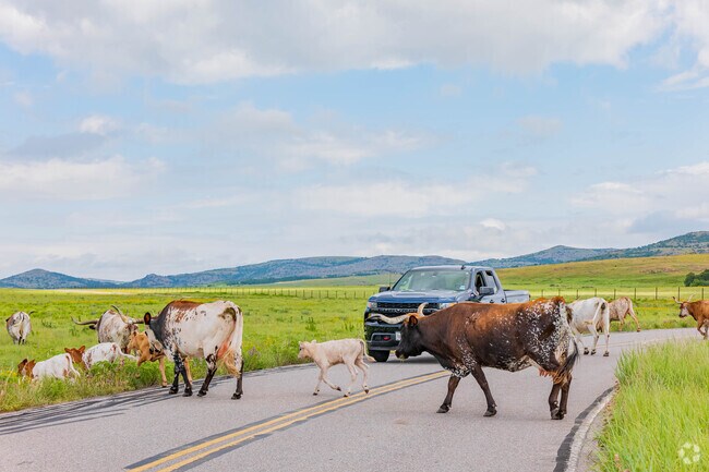 The Wichita Mountains offer bison and longhorn watching, a cool activity for Lawton.