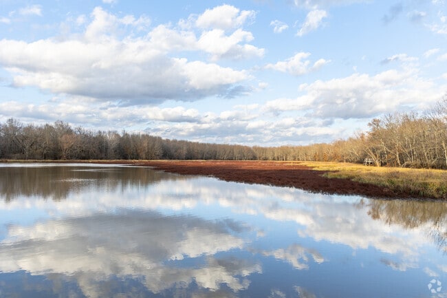 Get away from the city while close to home at the Deep Fork National Wildlife Refuge