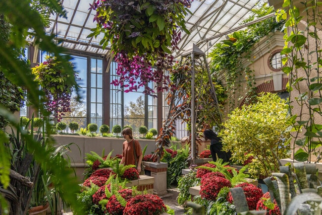 Explore the intricate gardens in Longwood Gardens conservatory, a Kennett Square staple.