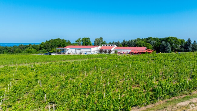 Vineyards surround the patio and tasting room at Chateau Grand Traverse on Old Mission Peninsula.