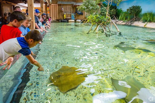 Franke Park's Children's Zoo gives visitors a chance to pet a stingray.