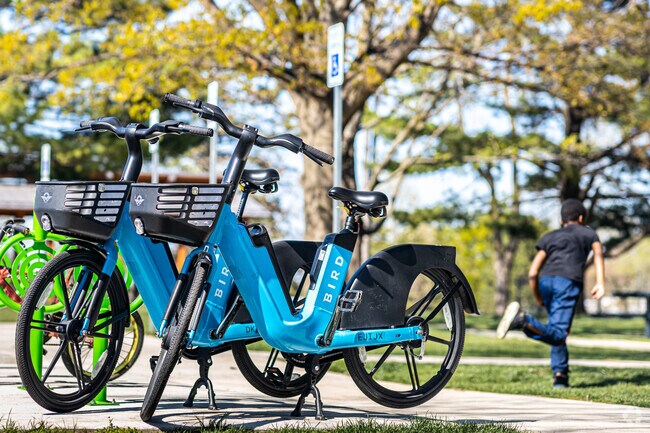 Renting a bike is one option for getting around in Glenwood Business District.