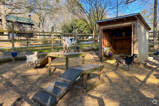 Residents can view a variety of animals at Autrey Mill Nature Preserve & Heritage Center.