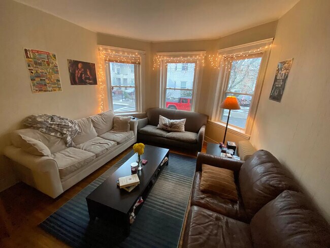 170 Thorndike St unit 1, Brookline, MA 02446 - photo 6