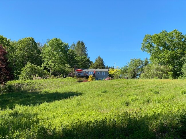 123 Looking Glass Hill Rd, Morris, CT 06763 - photo 2