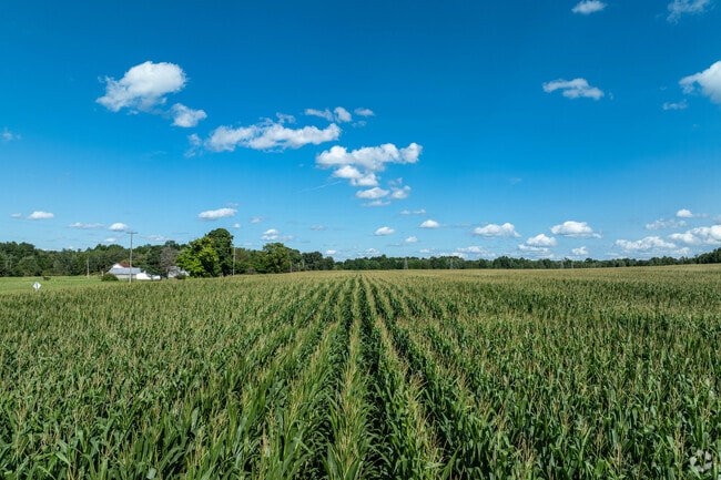 The Coitsville neighborhood enjoys a rural atmosphere.