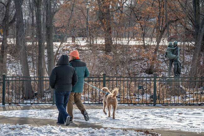 Dog owners take full advantage of the trails at Minnehaha Regional Park.