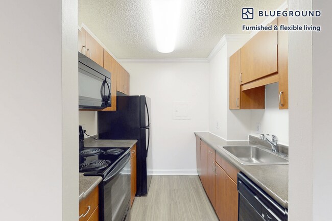 4100 Massachusetts Ave NW unit FL2-ID4936A, Washington, DC 20016 - photo 5