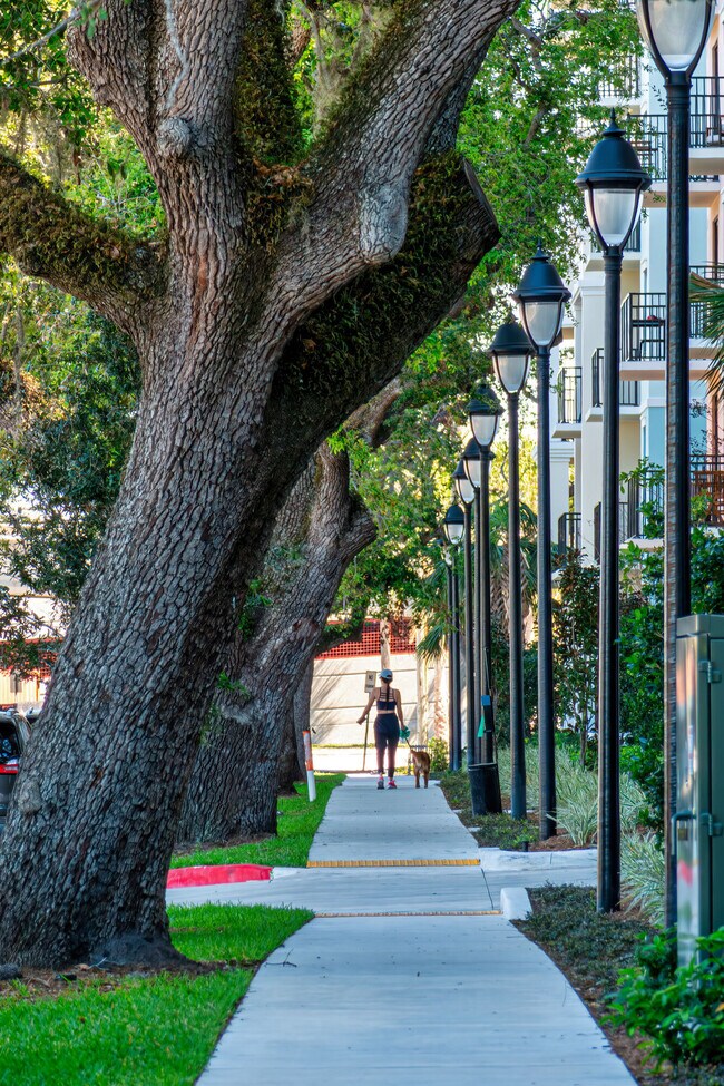 Manor Riverside, Tampa, FL 33607 - photo 4