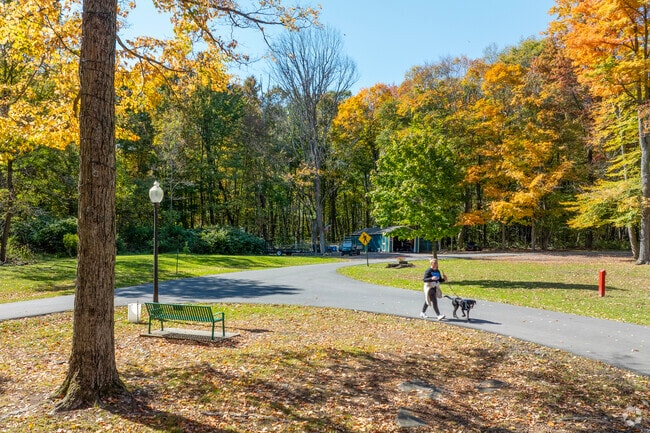 Public lands around Paint Township offer open natural areas with native vegetation.