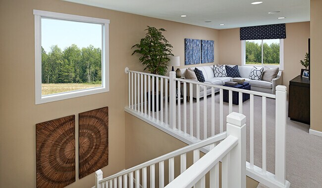 6401 Ankina Dr unit 36395930, Windsor, CO 80528 - photo 5