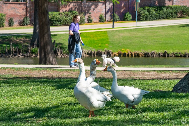 Urban Center residents can easily discover wildlife at one of the neighborhood parks or trails.