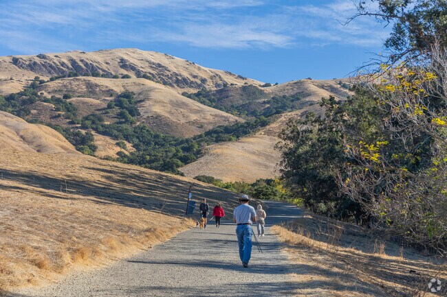 Every weekend, hundreds of Weibel residents climb to the top of Mission Peak.