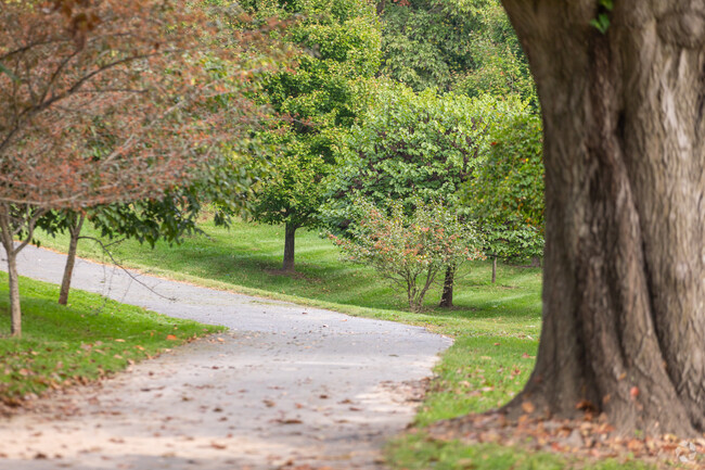 Well maintained pathways through Gwynns Falls park show off the changing fall colors.