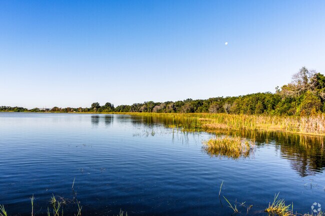 Lake Rochelle is a premier largemouth bass lake in Lake Alfred and home to many tournaments.