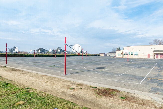 Students at Arnold Adreani Elementary School loves playing basketball.