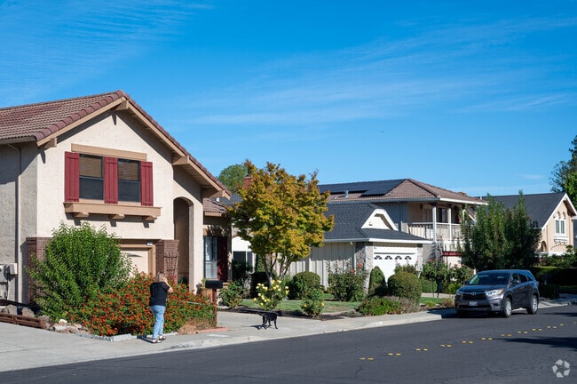 Walking your dog in midtown Concord is beautiful no matter where you are.