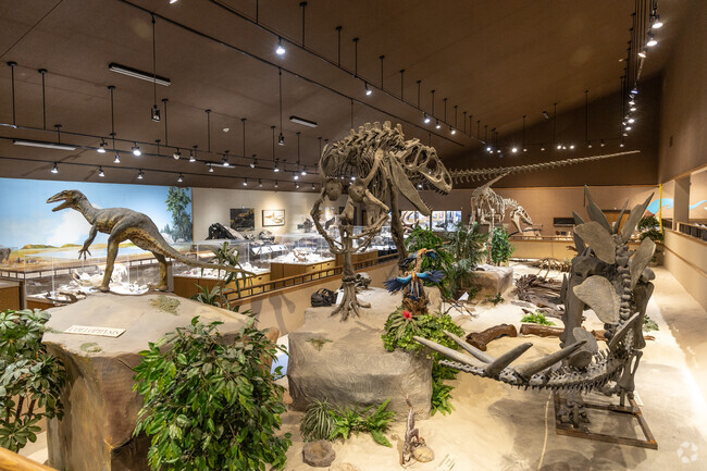 The dinosaur skeletons at Dickinson's Badlands Dinosaur Museum are absolutely stunning.