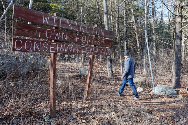 Residents can take a hike through the Wilmington Town Forest land in the North Wilmington area.