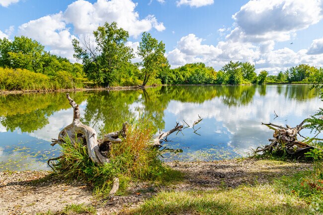 The Songbird Slough has over 14 acres of land and is home to 200 bird species in Itasca.