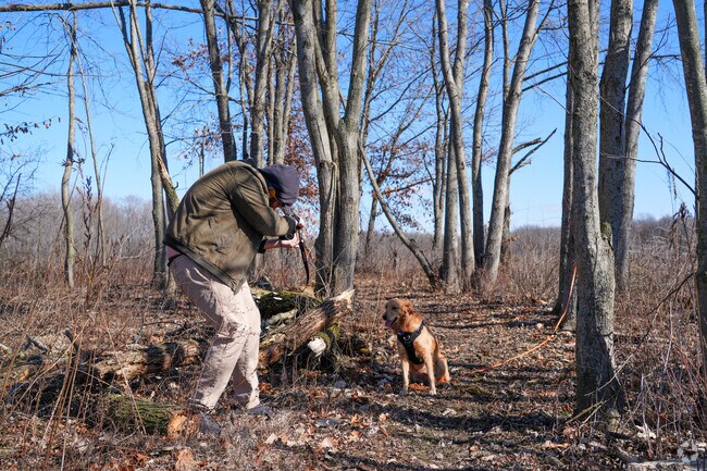 Take your fur babies out for some glamor shots in Monee.