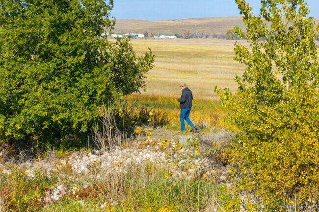 Natural scenery is prevalent along the hiking trails of the Fort Meade Recreation Area.