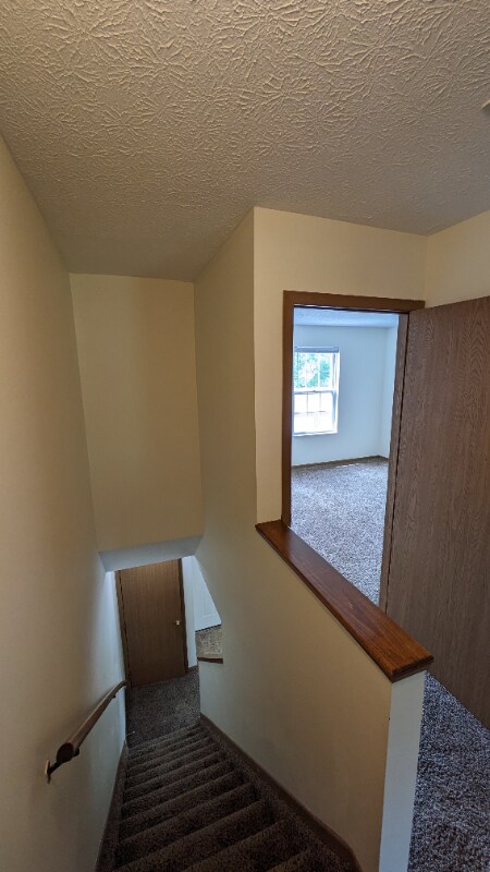 123 Taylor Ave, Marysville, OH 43040 - photo 4