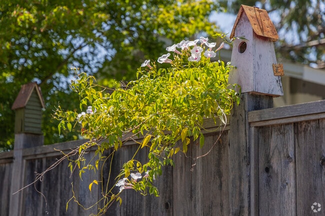 Fairview Park in the Terrace neighborhood is bordered by the property lines of local houses.