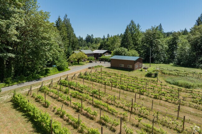 Stop for a wine tasting at the Olalla Vineyard and Winery.