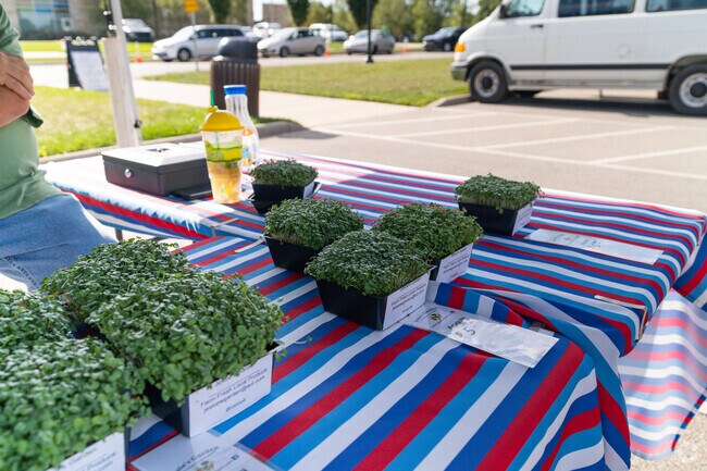 Herbs are among the fresh finds at the Farmer's Market in Blue Ash.
