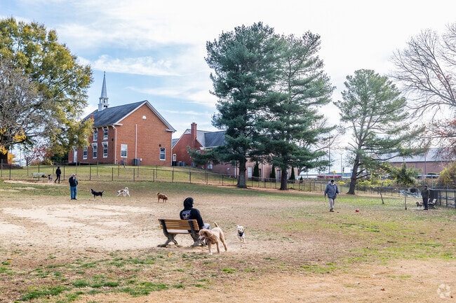 Furry friends frolic freely at Dunkirk District Park's dog park, a Dunkirk haven for dogs.