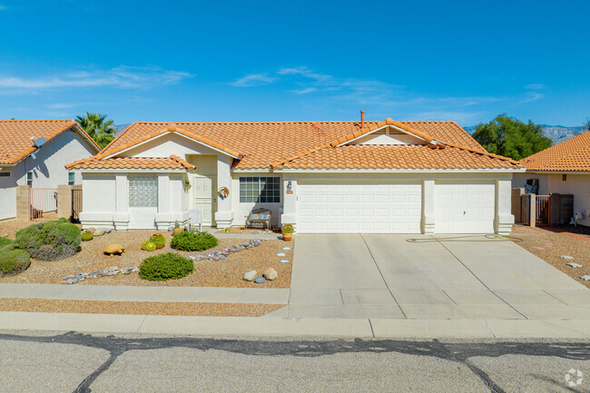 Desert landscaping is often favored in lieu of traditional grass lawns in Northeast Tucson.